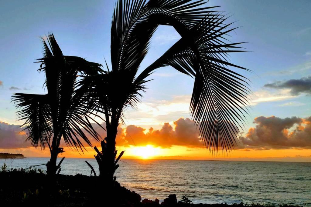 Pahoa Paradise Palms Eksteriør billede